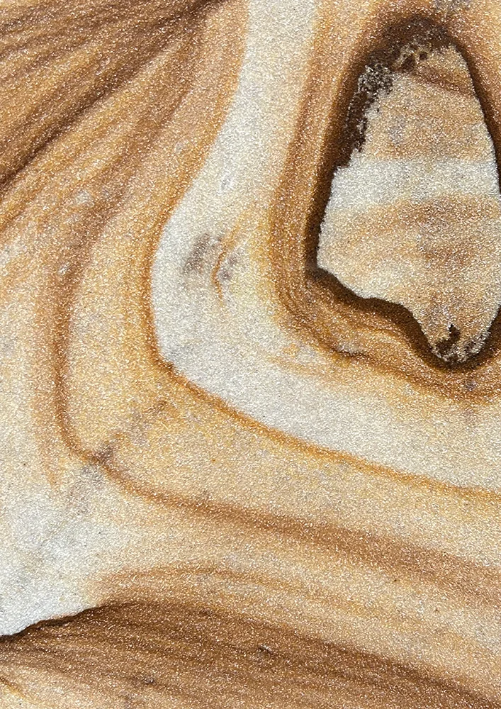 sandstone fossil